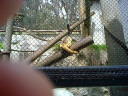 Jump to image if you click