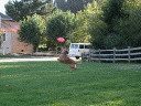 Jump to image if you click