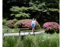 Jump to image if you click