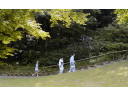 Jump to image if you click
