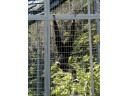 Jump to image if you click