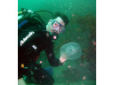 Jump to image if you click