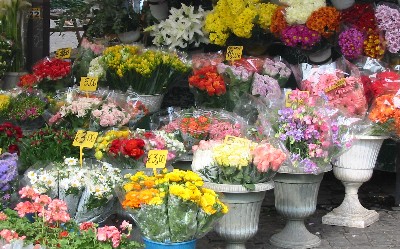 Flowers at Campo de'Fiori