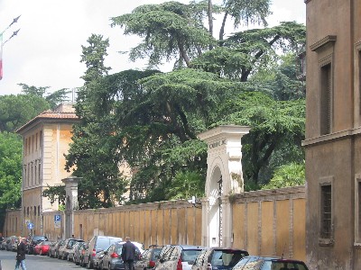 Farnesina Trees